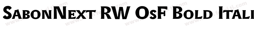 SabonNext RW OsF Bold Italic字体转换